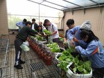 108-1彈性學習課程B-蔬果無土介質栽培3