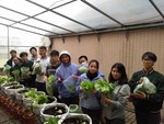 108-1彈性學習課程B-蔬果無土介質栽培4