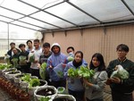 108-1彈性學習課程B-蔬果無土介質栽培5
