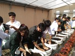 108-1彈性學習課程C-蔬果無土介質栽培3