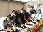 108-1彈性學習課程C-蔬果無土介質栽培4