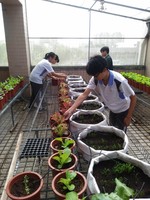 108-1彈性學習課程C-蔬果無土介質栽培11