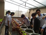 108-1彈性學習課程C-蔬果無土介質栽培12