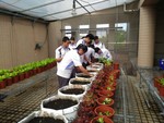 108-1彈性學習課程C-蔬果無土介質栽培15