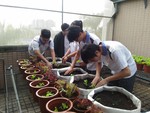 108-1彈性學習課程C-蔬果無土介質栽培2