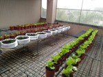 108-1彈性學習課程C-蔬果無土介質栽培3