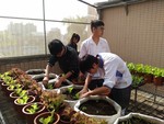 108-1彈性學習課程C-蔬果無土介質栽培8