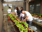 108-1彈性學習課程C-蔬果無土介質栽培2
