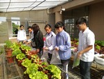 108-1彈性學習課程C-蔬果無土介質栽培3