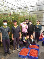 109學年度設施番茄16