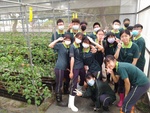 110學年度設施番茄1