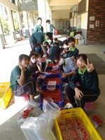 110學年度設施番茄13