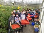 110學年度設施番茄4