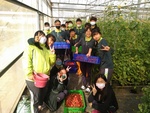 110學年度設施番茄11