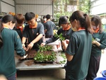 110學年度杭菊栽培2