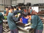 110學年度杭菊栽培4