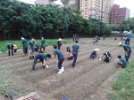 110學年度毛豆栽培4