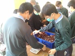 110學年度菇類栽培9