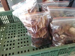 110學年度菇類栽培12