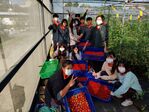111學年度設施番茄12
