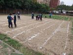 111學年度玉米栽培-2期1