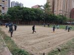 111學年度玉米栽培-2期2