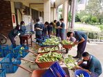 111學年度玉米栽培-2期15