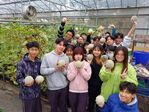112學年度設施洋香瓜栽培16
