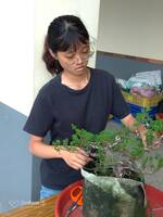 113.5.29樹藝教學8