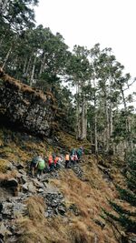 1121201登山嚮導-攀登雪山6