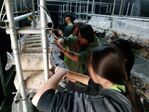112學年度菇類栽培10