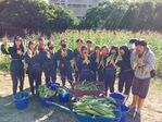 112學年度玉米栽培12