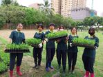 113學年度玉米栽培-1期14