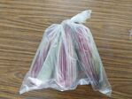 113學年度玉米栽培-1期16