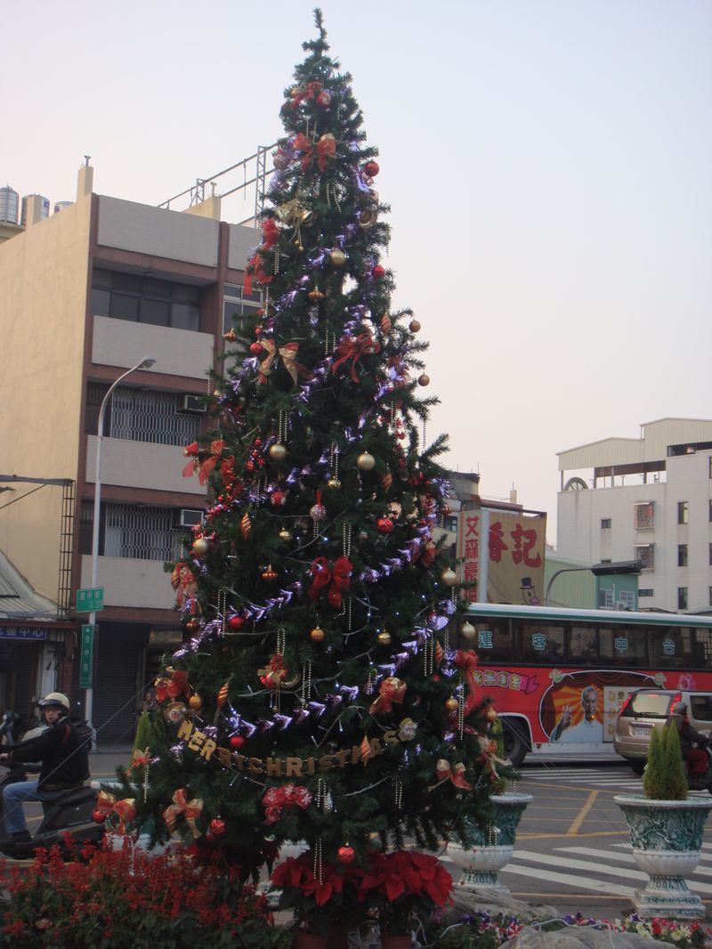 本校聖誕樹