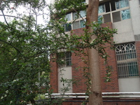 第三區-森林科館後方