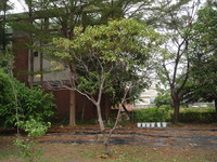 第三區-森林科標本園