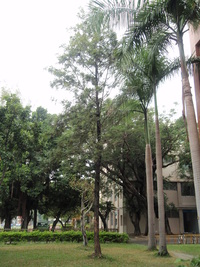 第三區-圖書館後方草坪