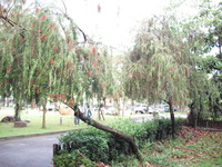 第三區-森林科標本園