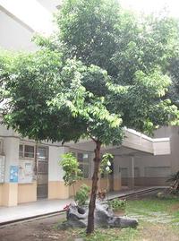 第二區-學務處前