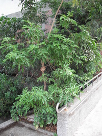 第三區-森林科館前