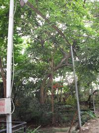 第三區-森林科館後方