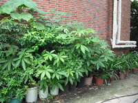 第三區-森林科館後方