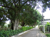 第四區 畜牧大道